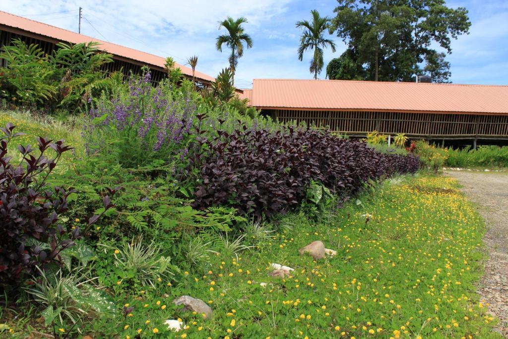 Sabah Tea Garden-Longhouses راناوْ المظهر الخارجي الصورة