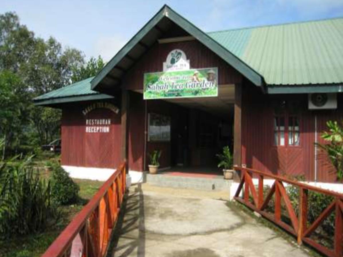 Sabah Tea Garden-Longhouses راناوْ المظهر الخارجي الصورة