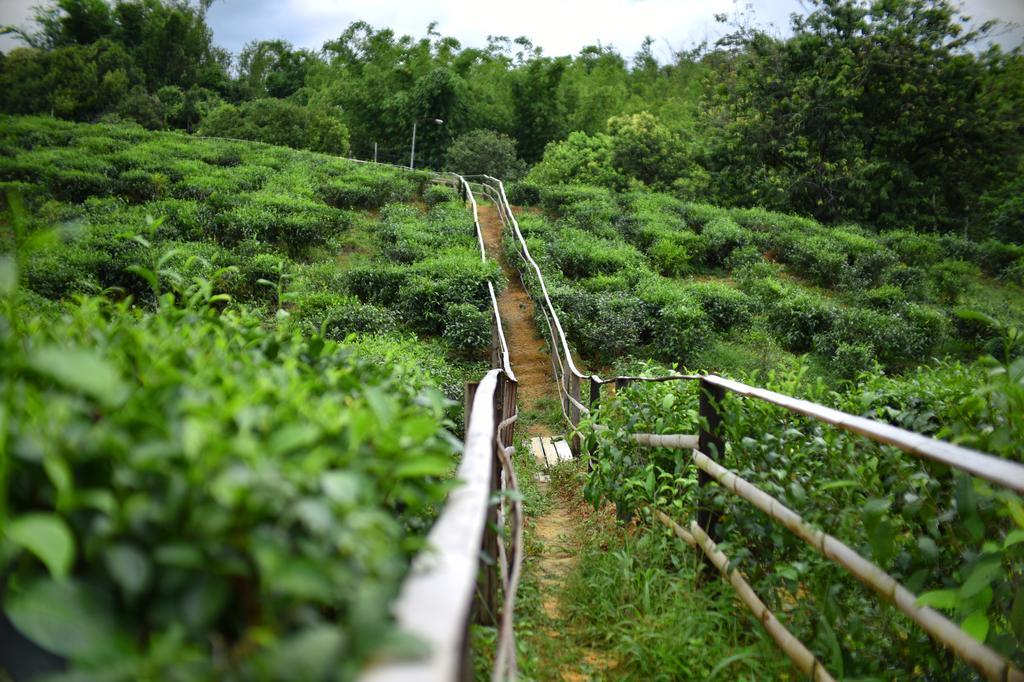 Sabah Tea Garden-Longhouses راناوْ المظهر الخارجي الصورة